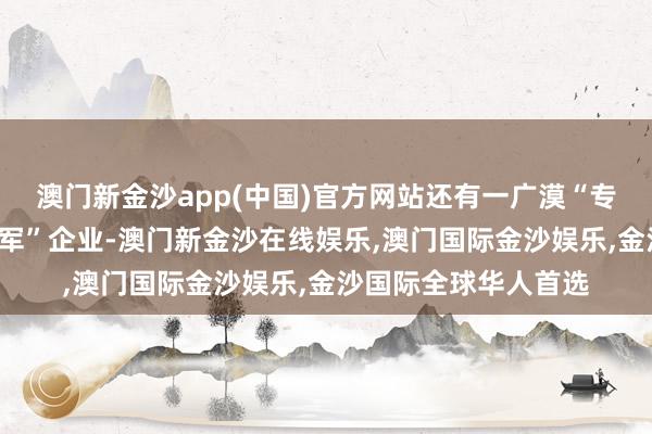 澳门新金沙app(中国)官方网站还有一广漠“专精特新”和“隐形冠军”企业-澳门新金沙在线娱乐,澳门国际金沙娱乐,金沙国际全球华人首选