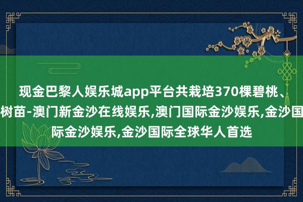 现金巴黎人娱乐城app平台共栽培370棵碧桃、黄金香柳、樱花树苗-澳门新金沙在线娱乐,澳门国际金沙娱乐,金沙国际全球华人首选